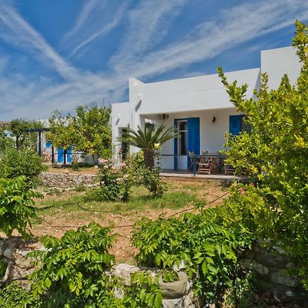 Pleiades Apartments Lefkos  Buitenkant foto